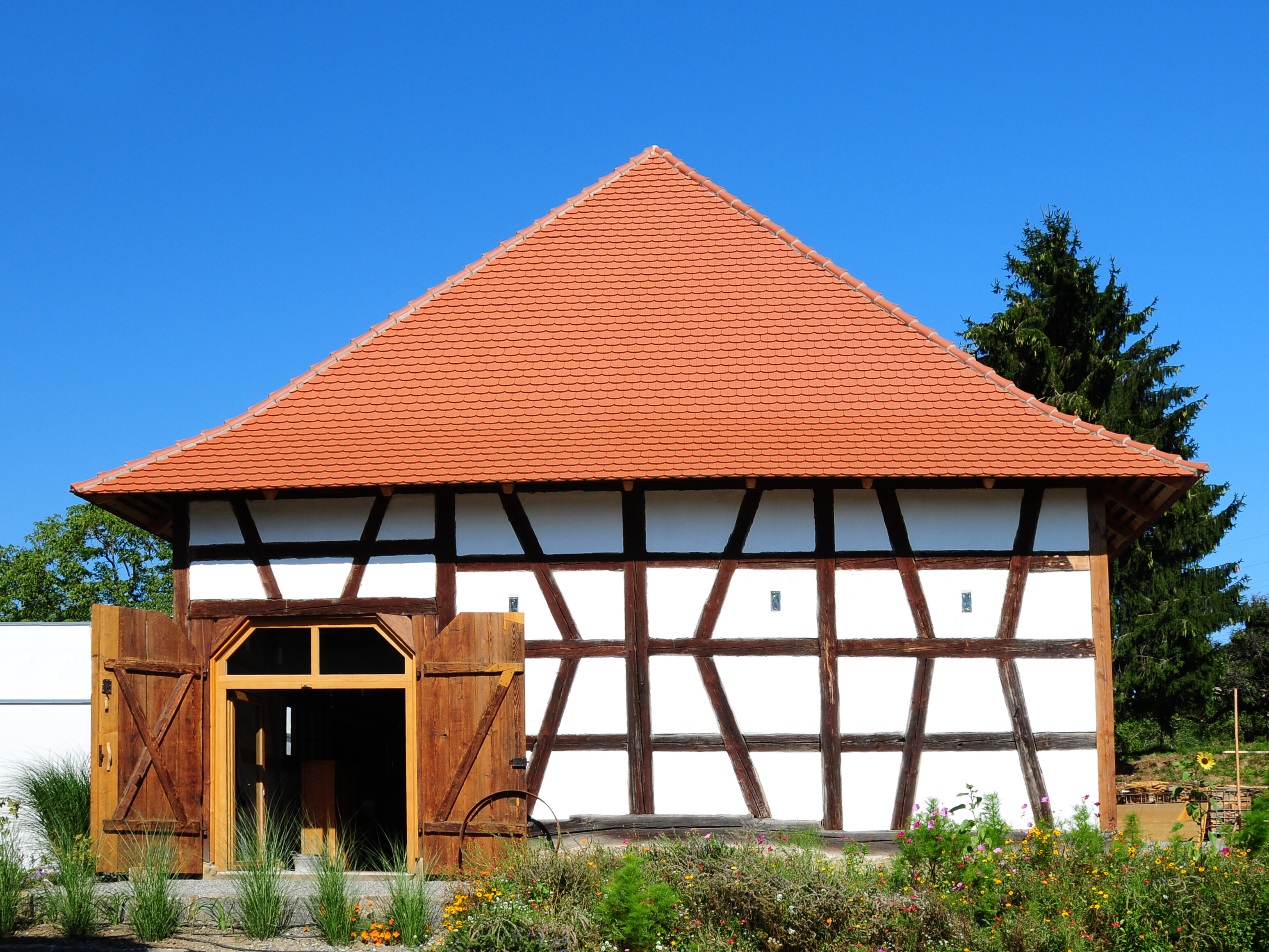 Torkel Bodensee Torkel Bodensee