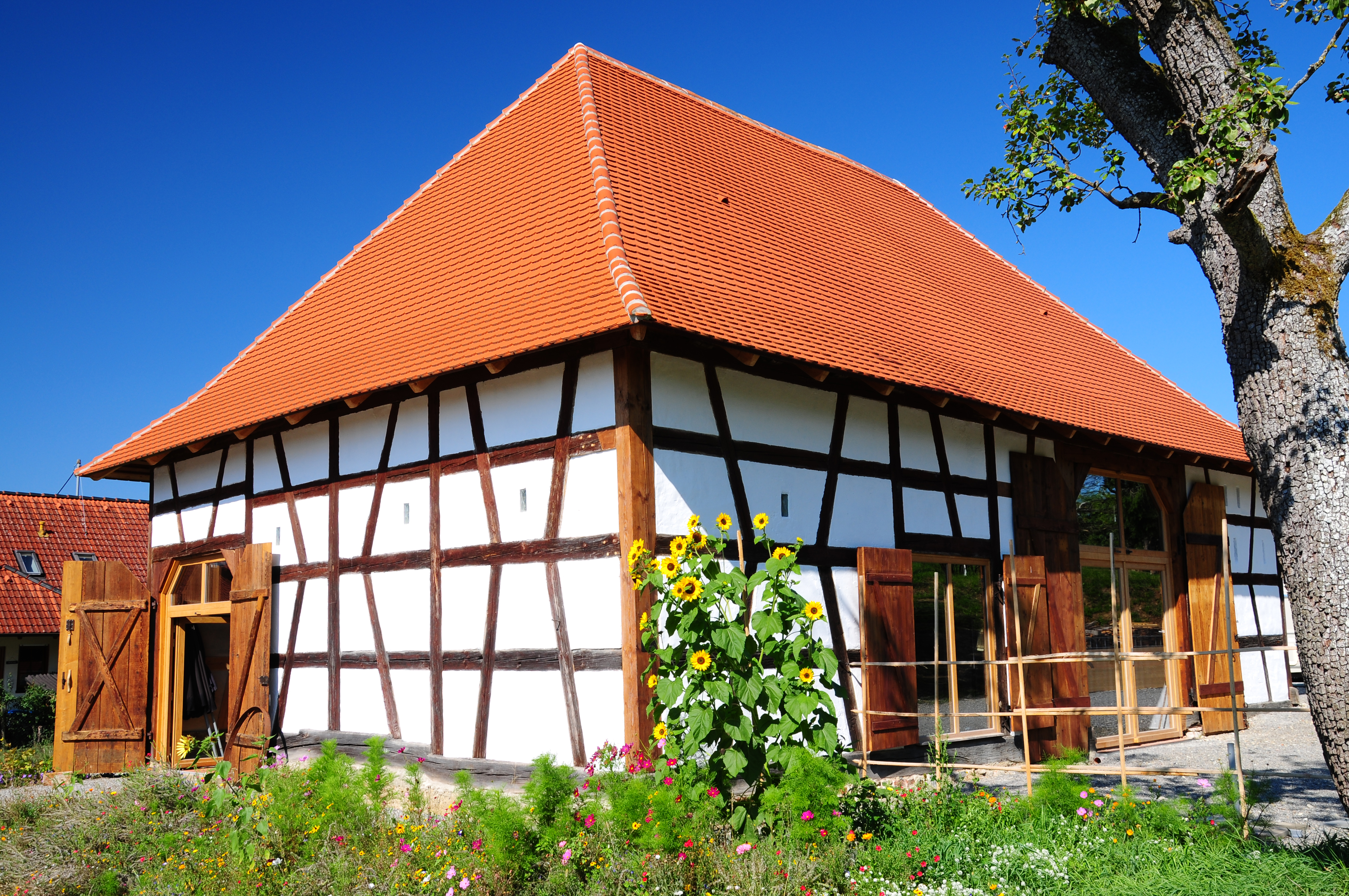 Torkel Bodensee Torkel Bodensee