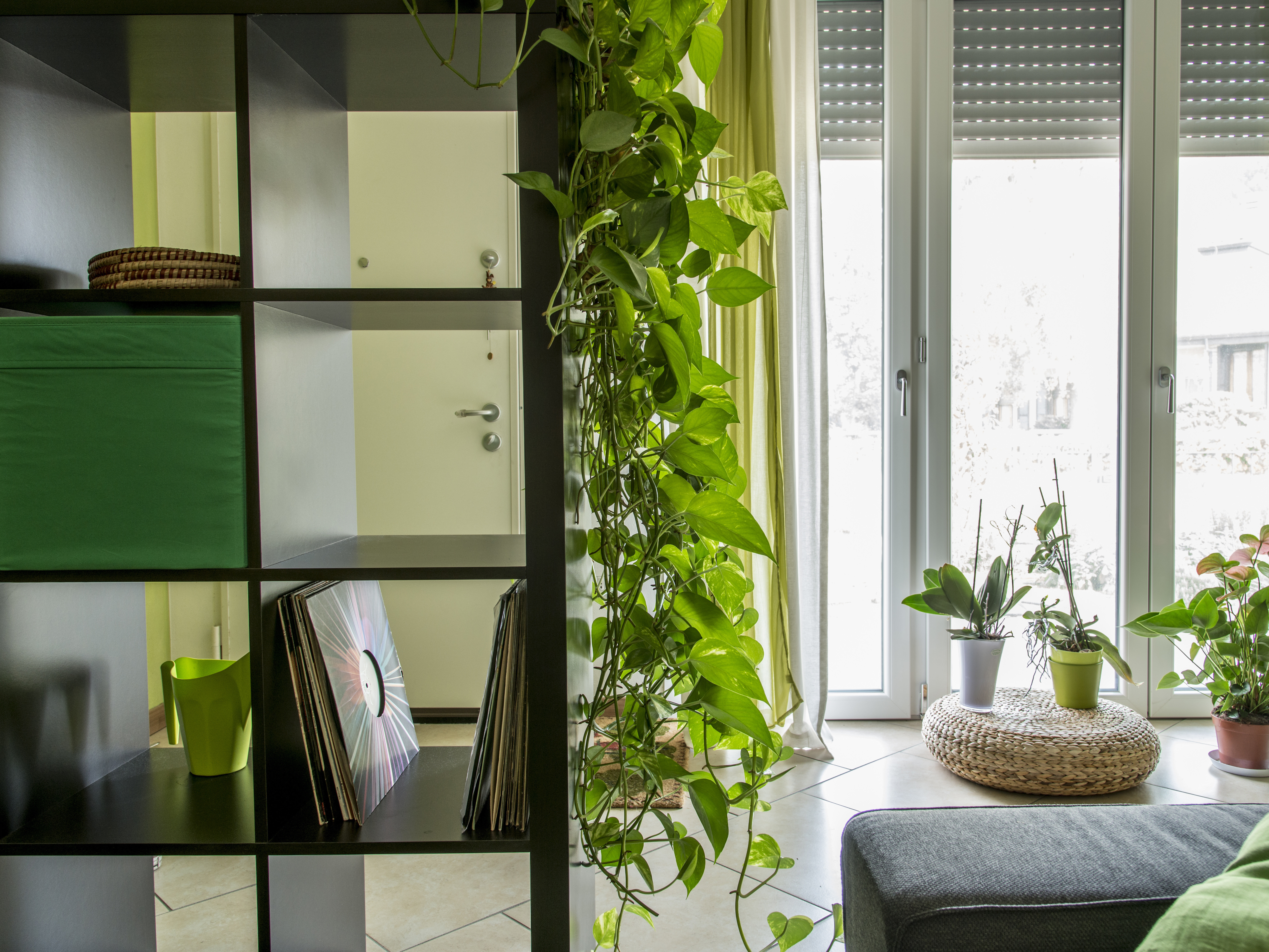 Wohnzimmer mit Pflanzen