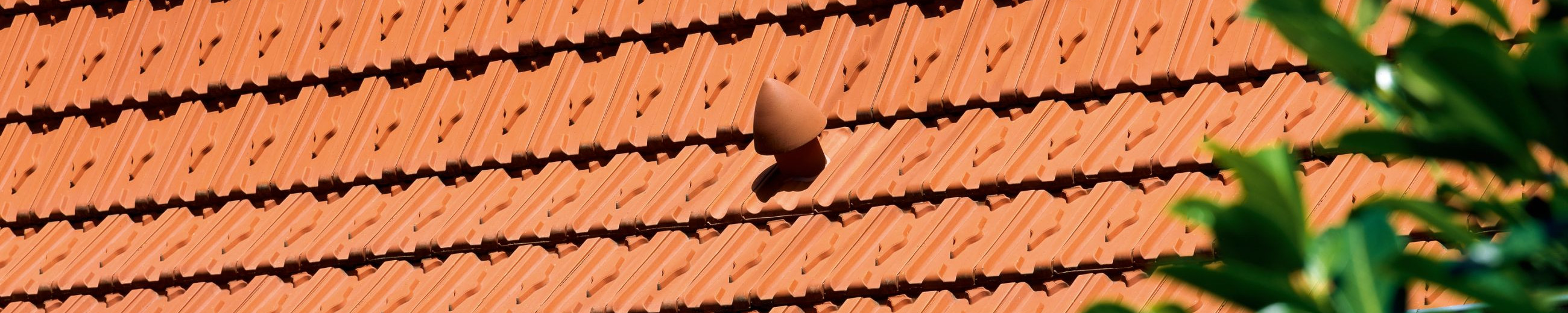 HERZZIEGEL naturrot