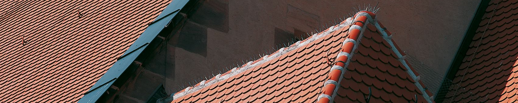 SAKRAL Rundschnitt naturrot